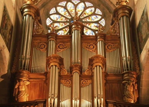 Cathédrale Saint-Pierre : Visite des grandes orgues