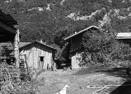 Visite de la ferme du Brairet Montagne Poétique