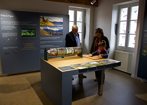 Visite libre du Musée de la vigne et du vin de Savoie