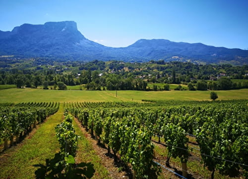 Visites et dégustations au Domaine des Granges Longes Du 19 au 20 oct 2024