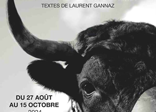 Exposition de photographies " Reines de coeur " par David Machet