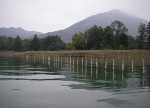 Sortie crépusculaire : à la découverte du Marais de l