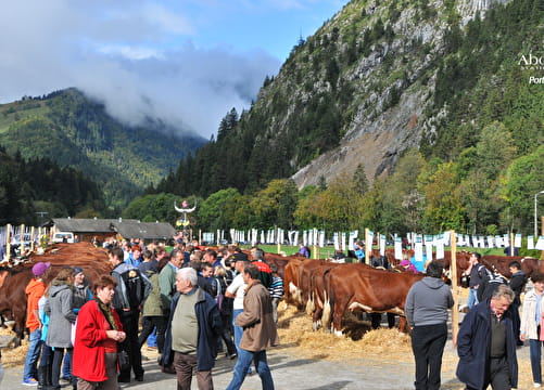 Foire d