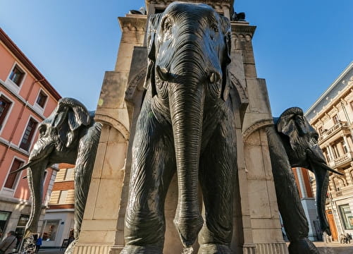 Festival Jeune public : Le 5ème éléphant Du 23 au 26 oct 2024